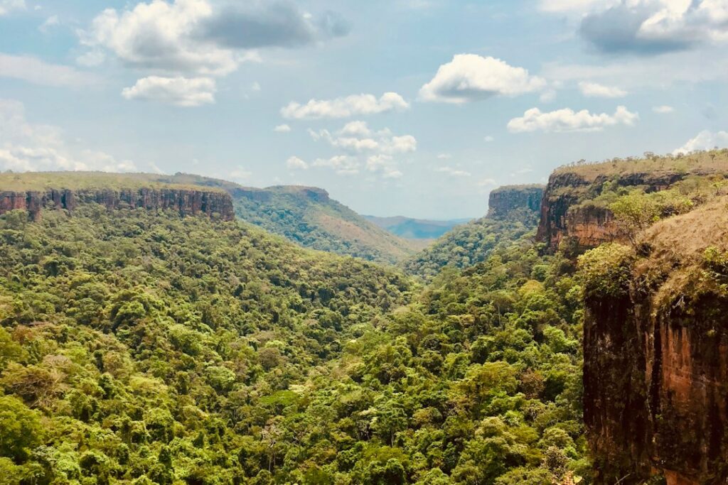 Natural landscape in Brazil, illustrative photograph for an article about Cerrado ecosystem restoration, not a documented Araticum site.