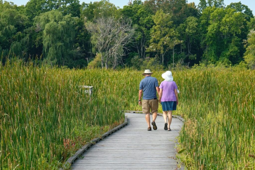 Older couple walking together along a peaceful wooden boardwalk through green wetlands